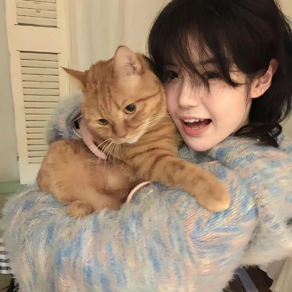 翼：东京默示录